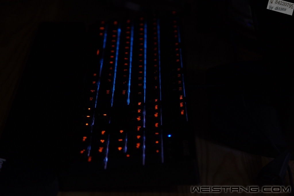 ARPS4780.jpg