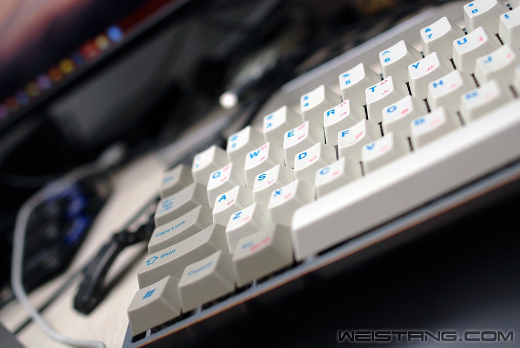 DSC_1012.JPG