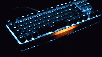 5.gif