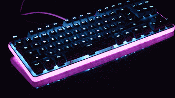 6.gif