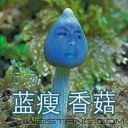 171828mohiiiyh6tzhkm0q.jpg