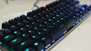 DSC_7359_clip.gif