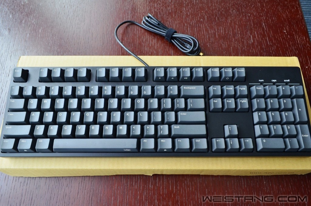 conew_conew_dsc_0259.jpg