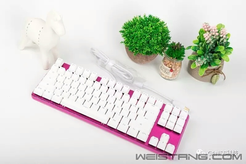 mmexport1489997983812.jpg