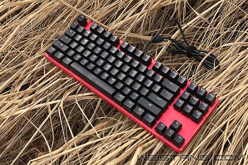 δ-05.jpg