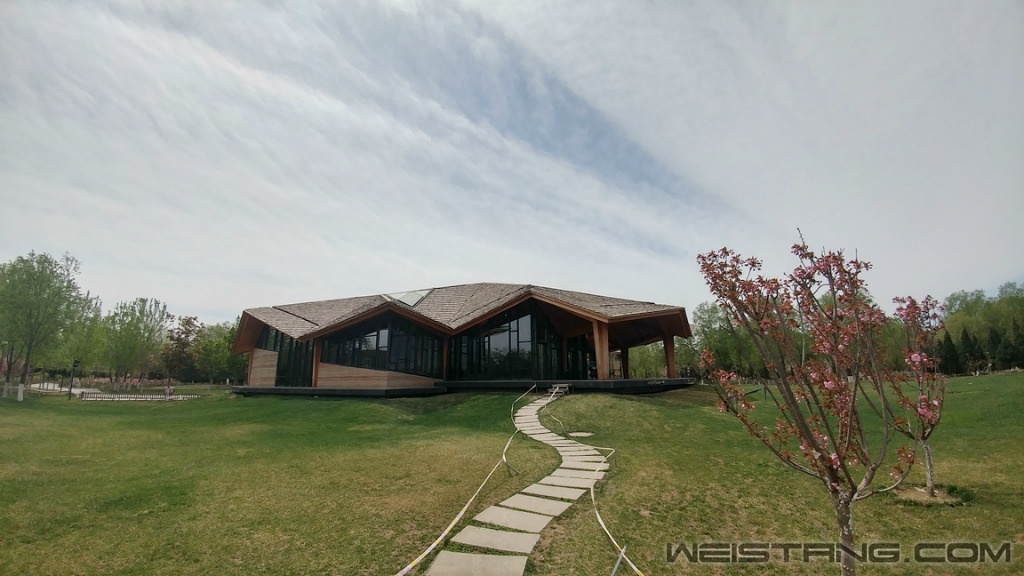 20170411_120101_HDR.jpg