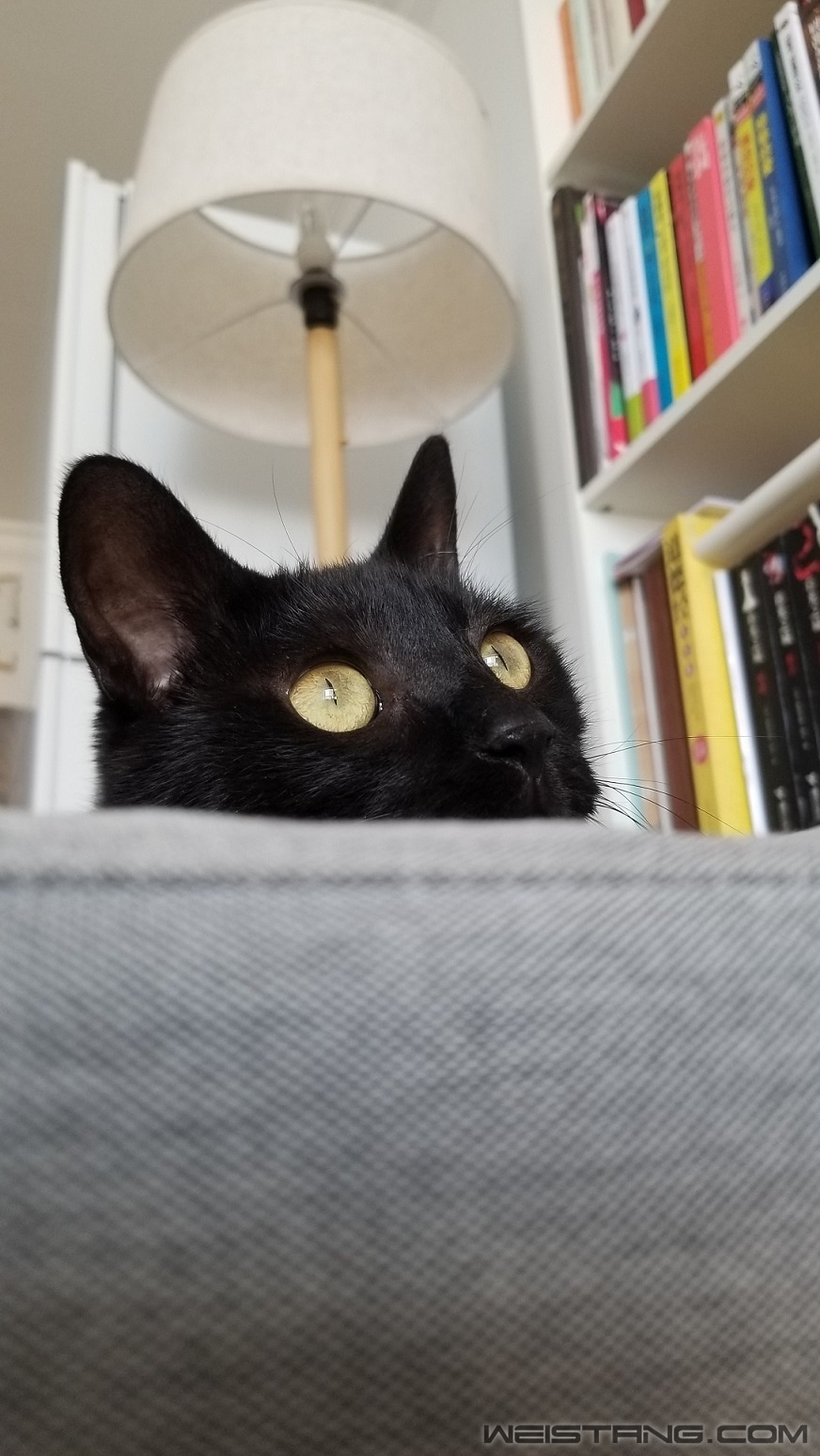 20170605_145841.jpg