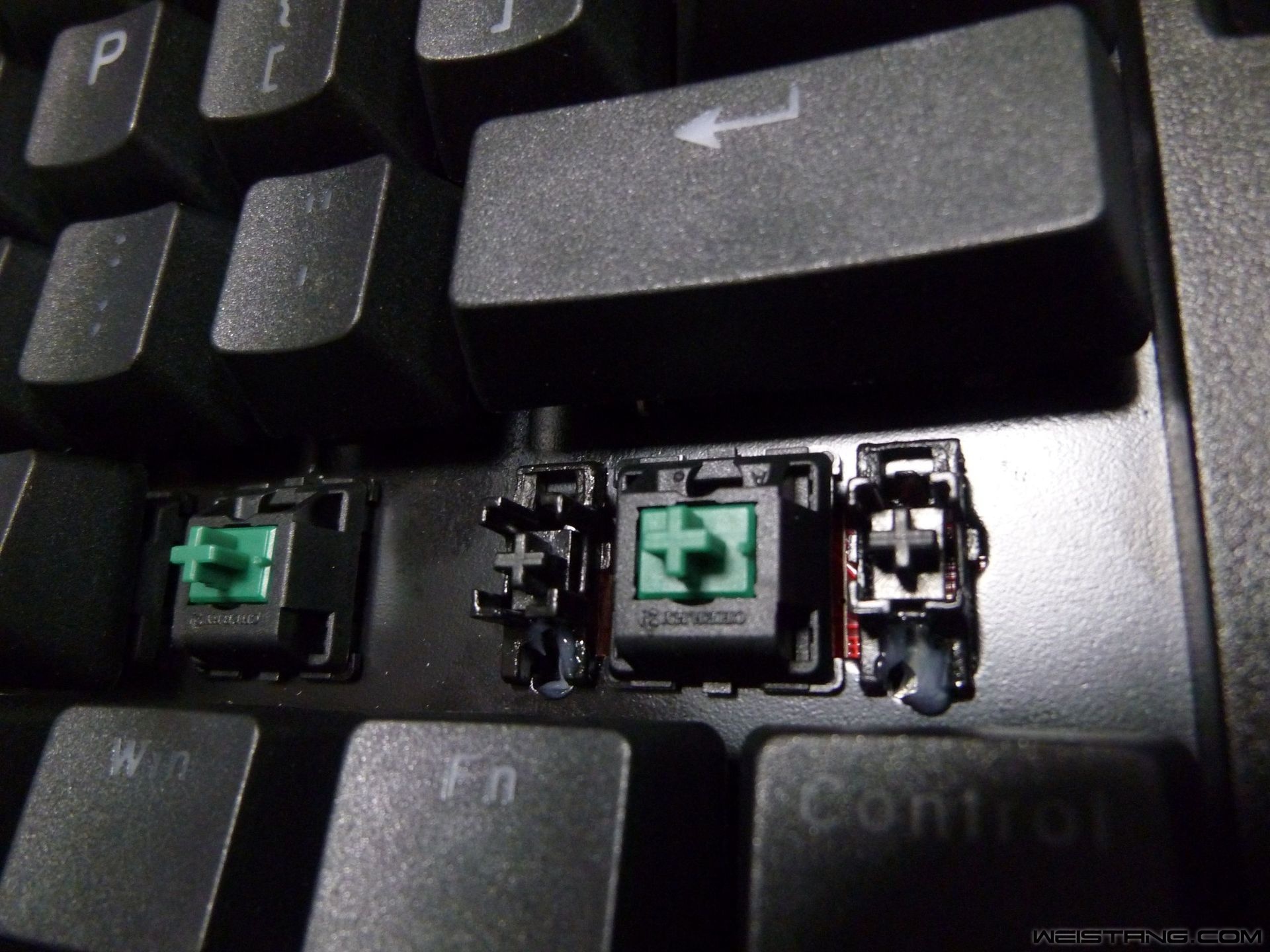 P1000931.JPG