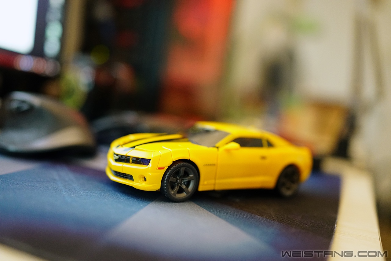 DSC02174.JPG