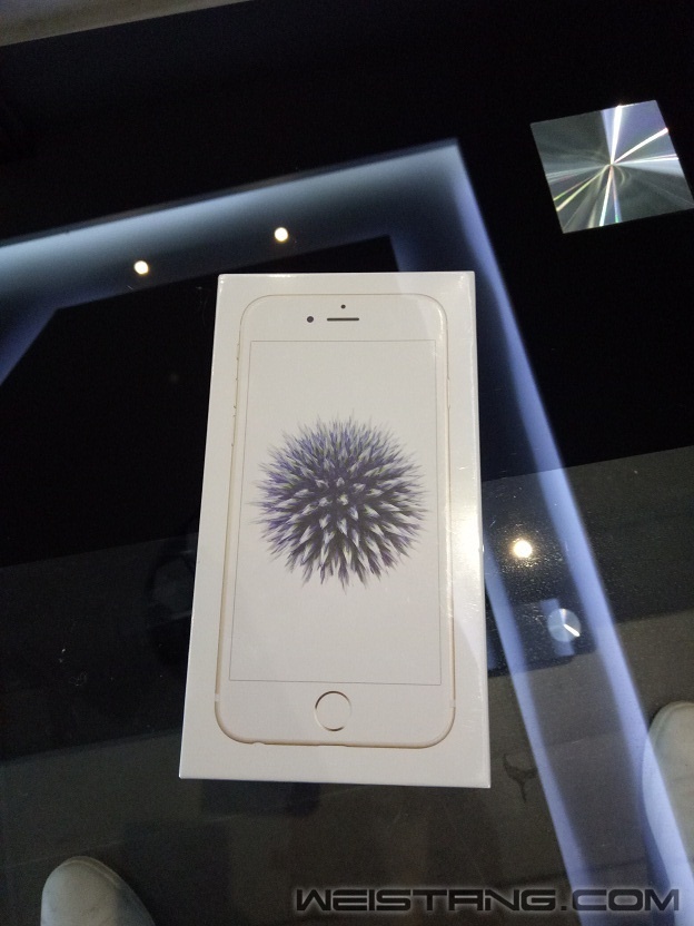 IMG20170728135012.jpg