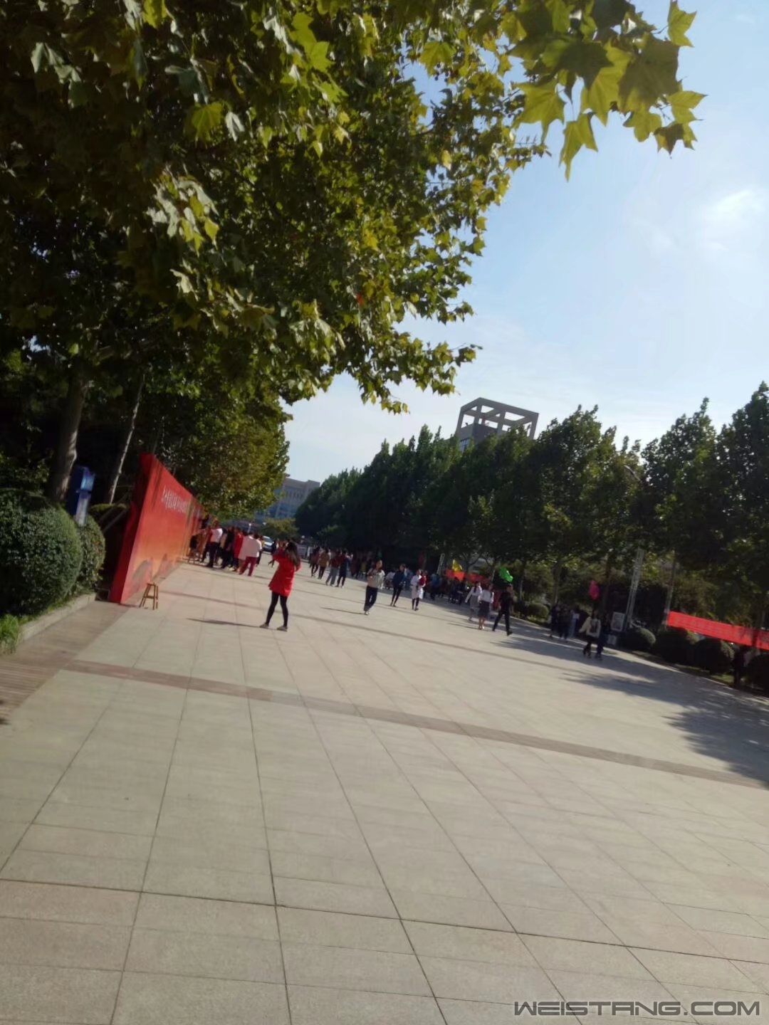 214309ezlvlr54vqsuasc8.jpg