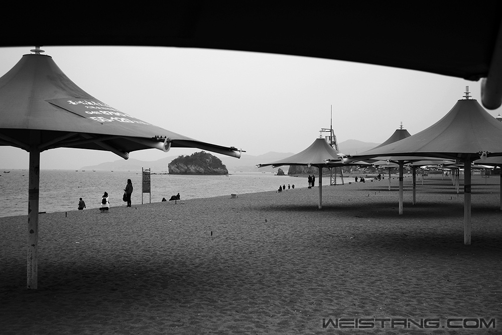 937419c8555945598cbfdc3b5d7d86c2-s.jpg