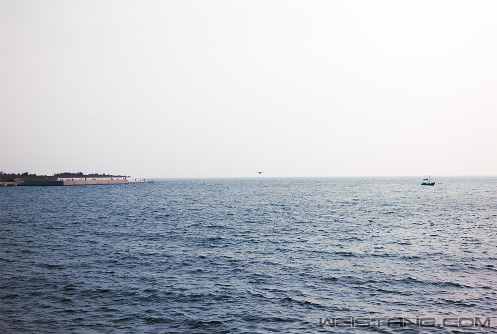 c7aca19a95b74feaabd13efd40f12631-s.jpg