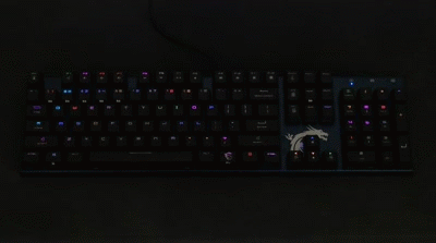 49.gif