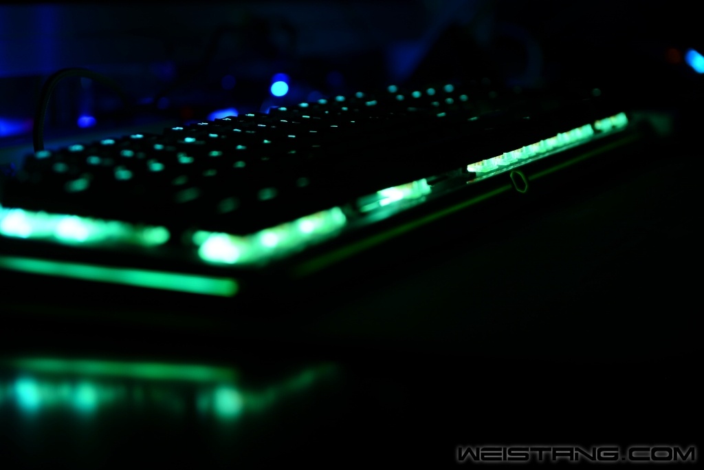 9564_.jpg