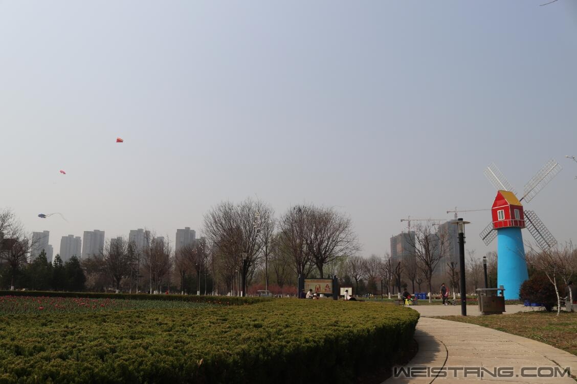 095025dyqkkqaquycykxzq.jpg
