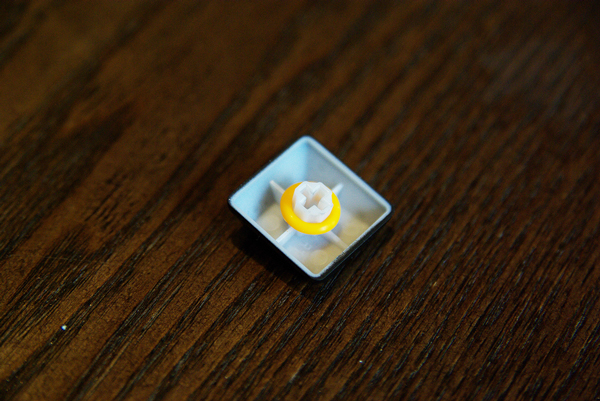 IMGP9993.jpg