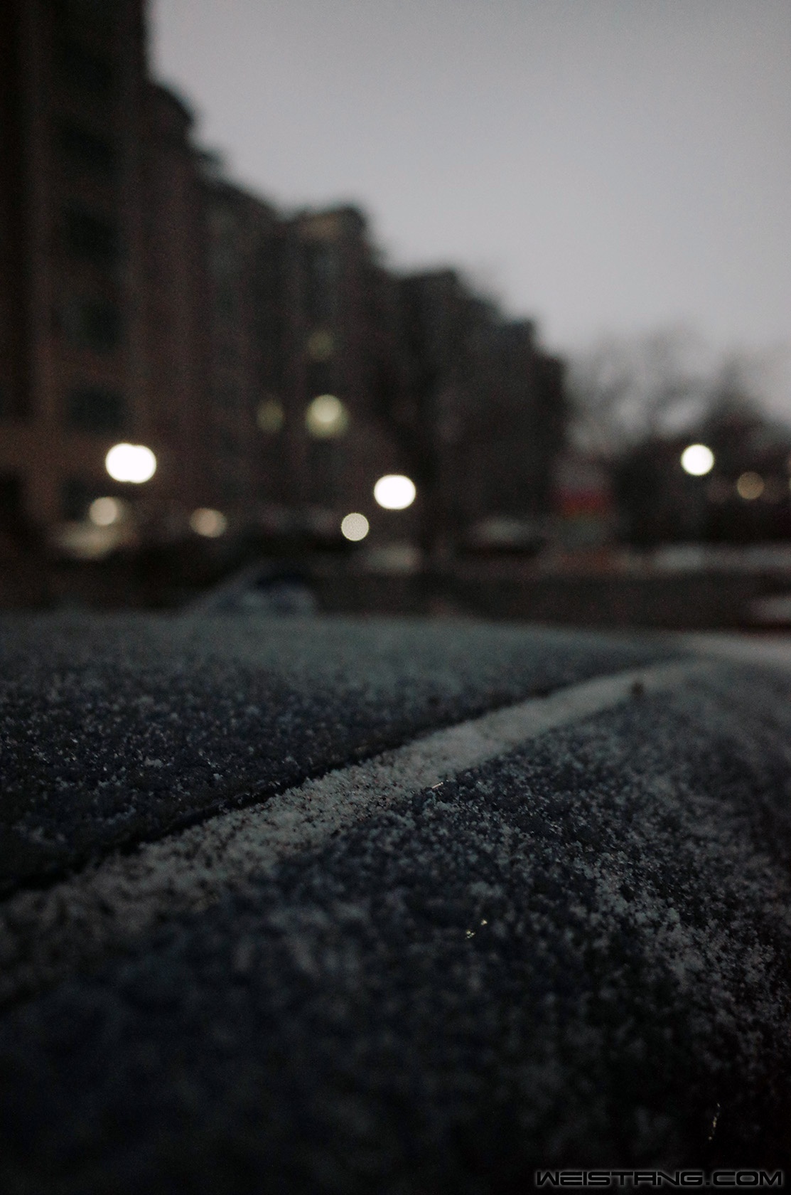 R0010609.JPG