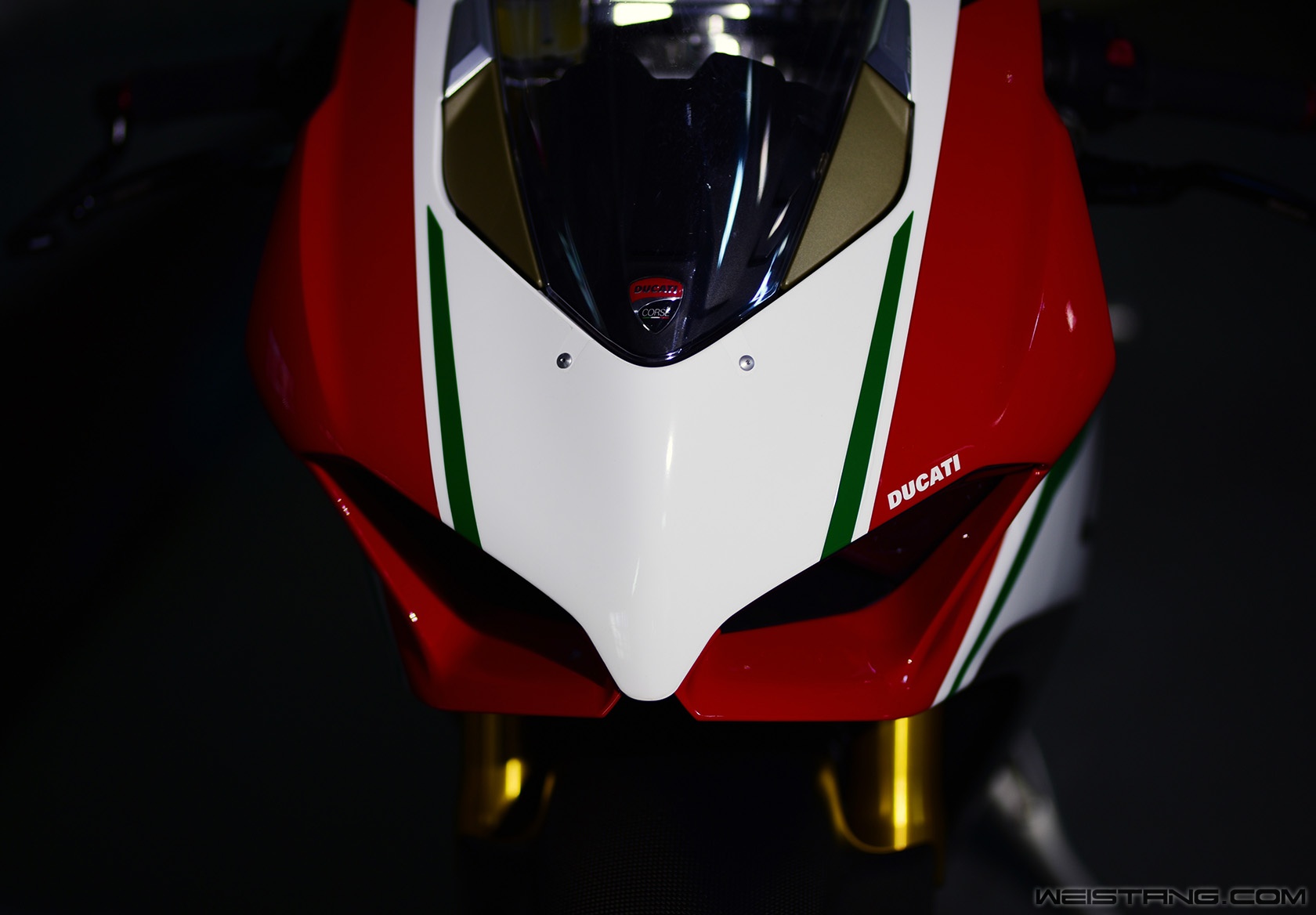 DSC_8328.JPG