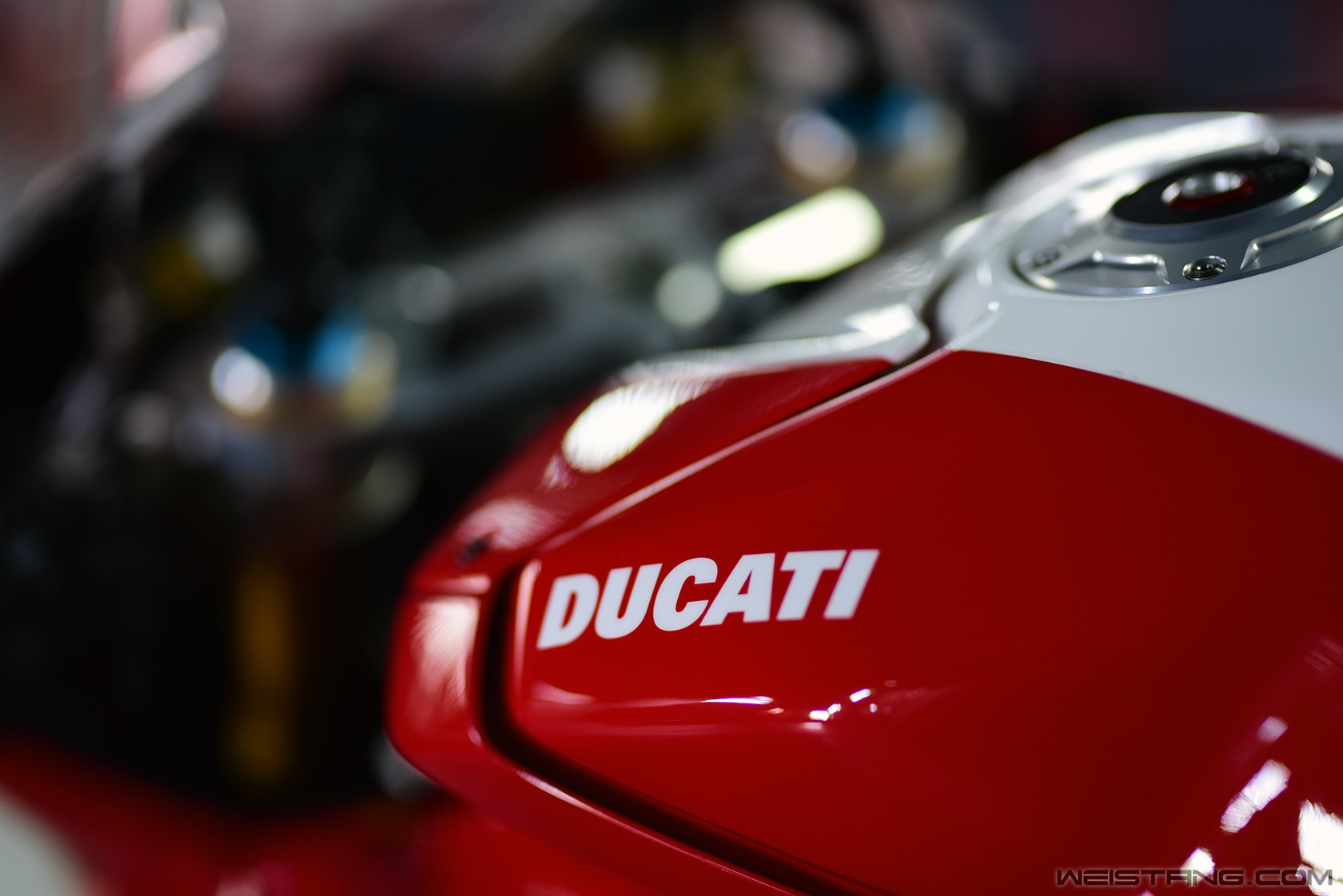 DSC_8351.JPG