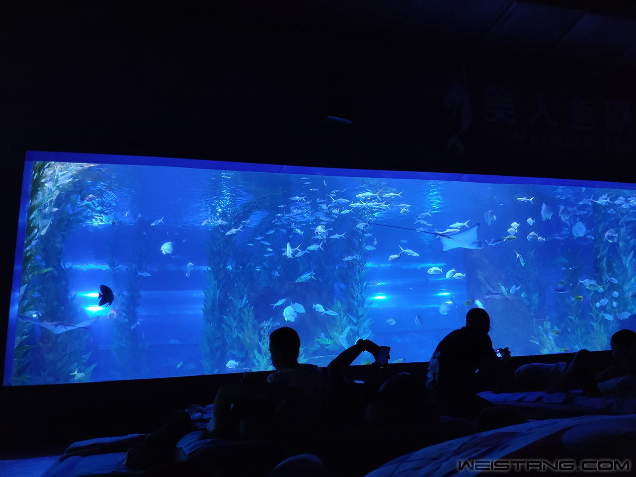 IMG_20190803_195639.jpg