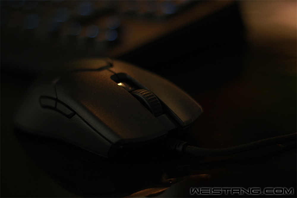_MG_7036.JPG