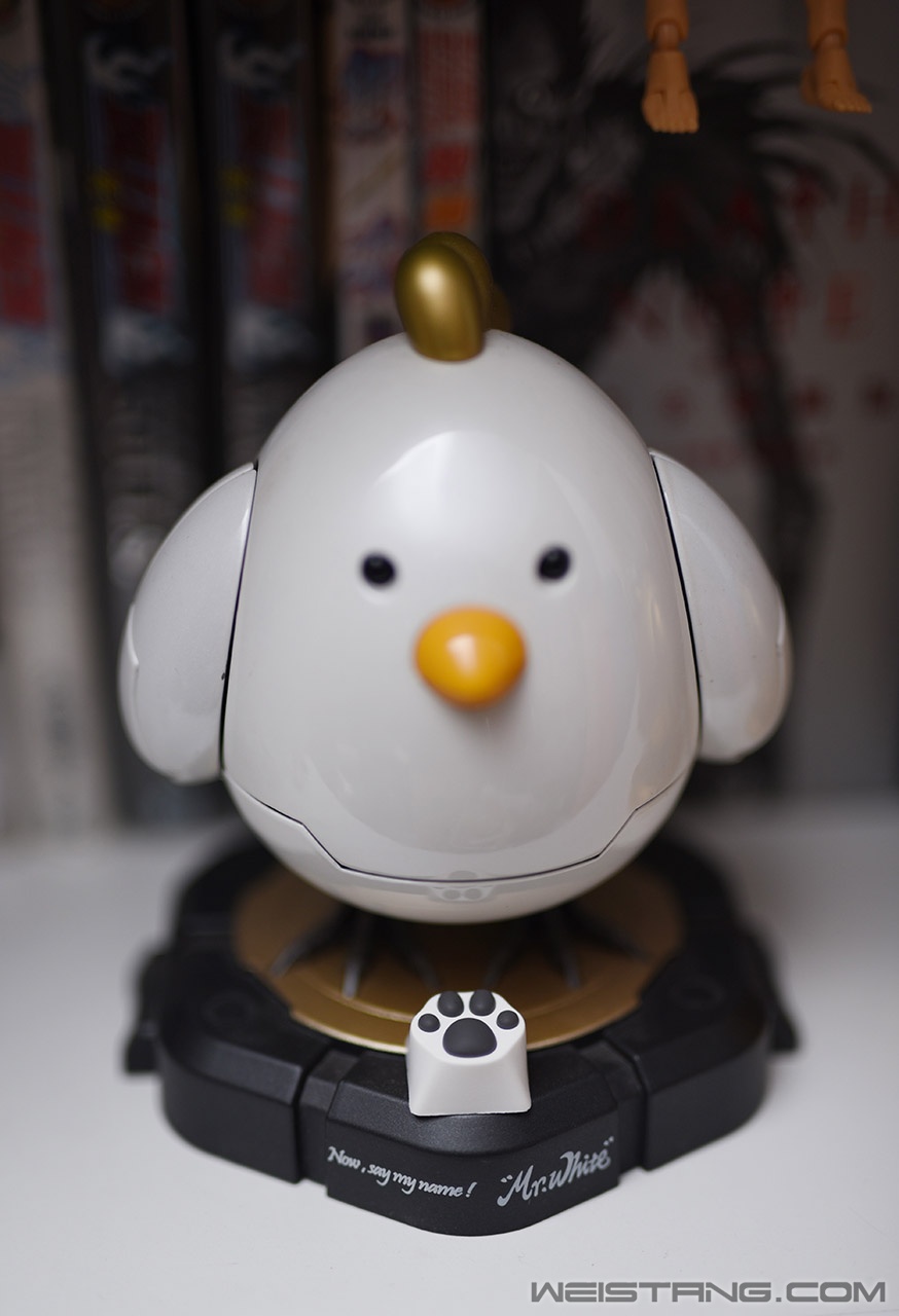 DSC_3885.JPG