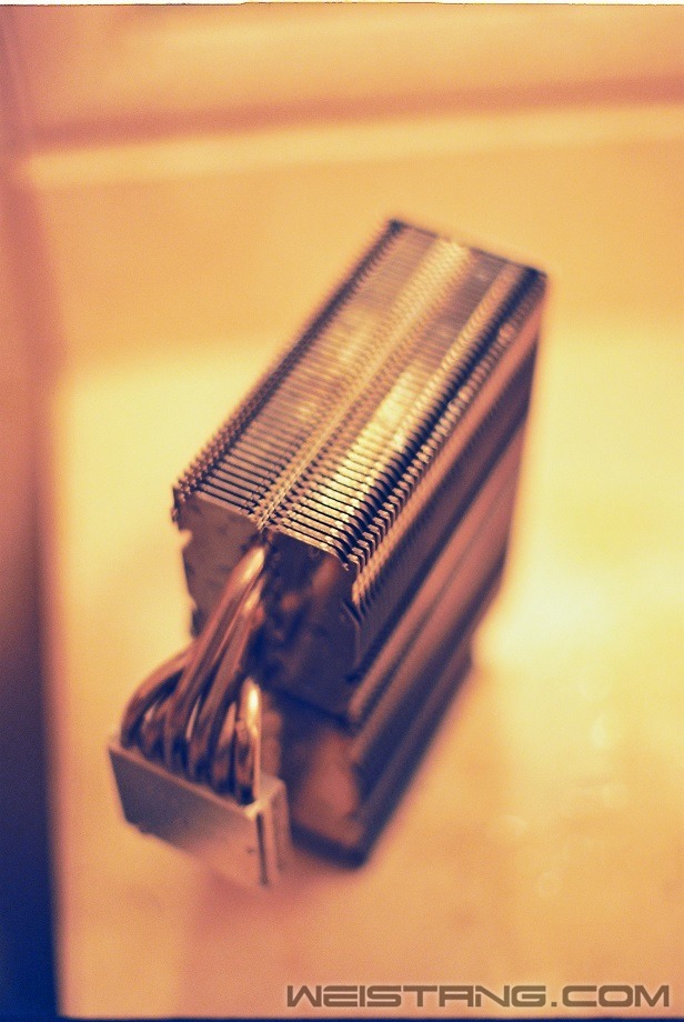 F1000036 (2).JPG