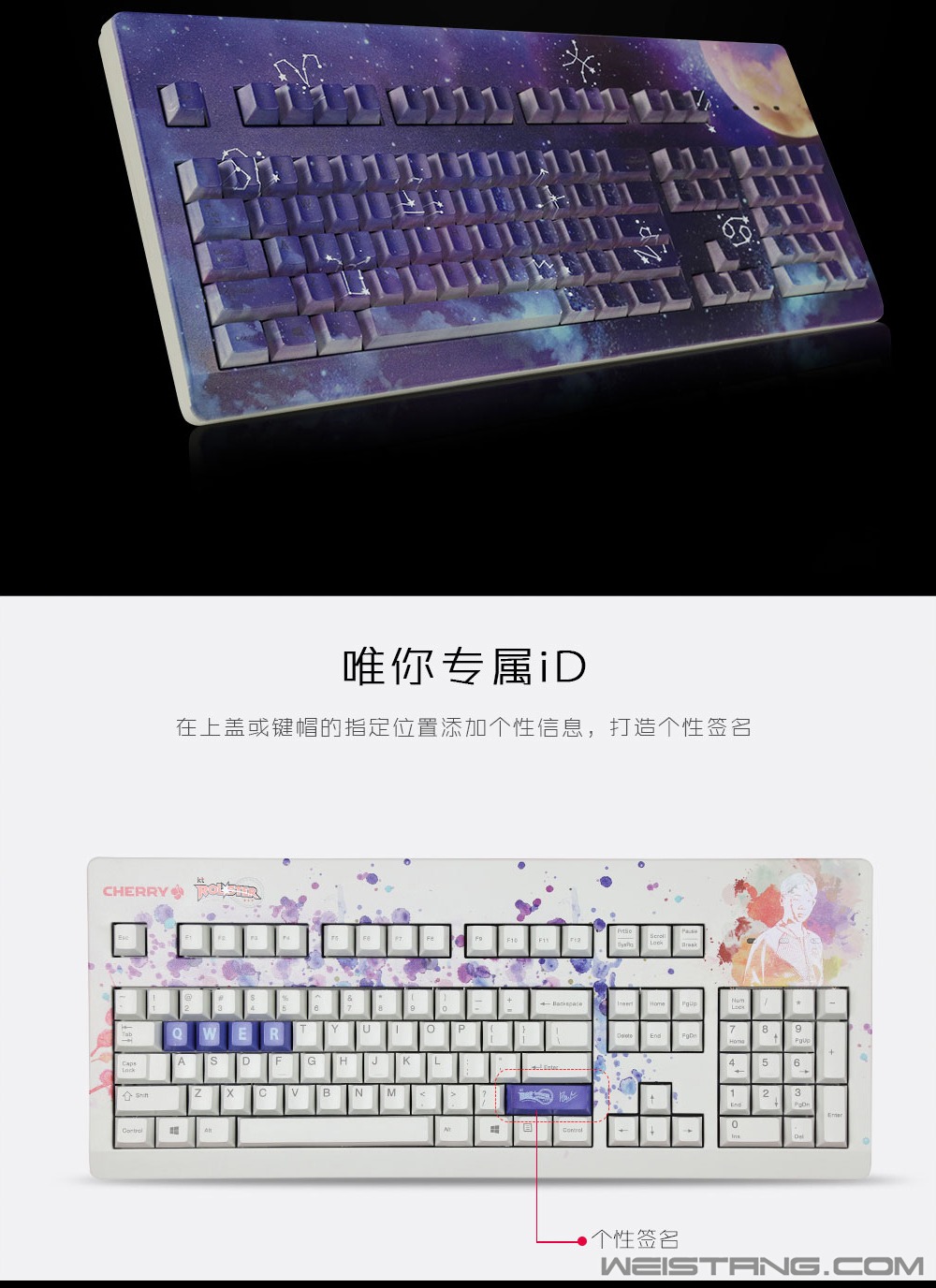 64.jpg