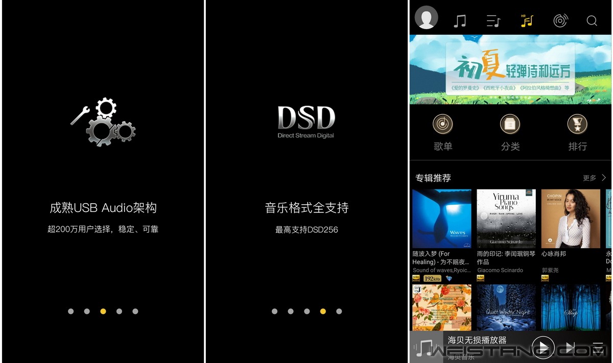 FD3 (11).jpg