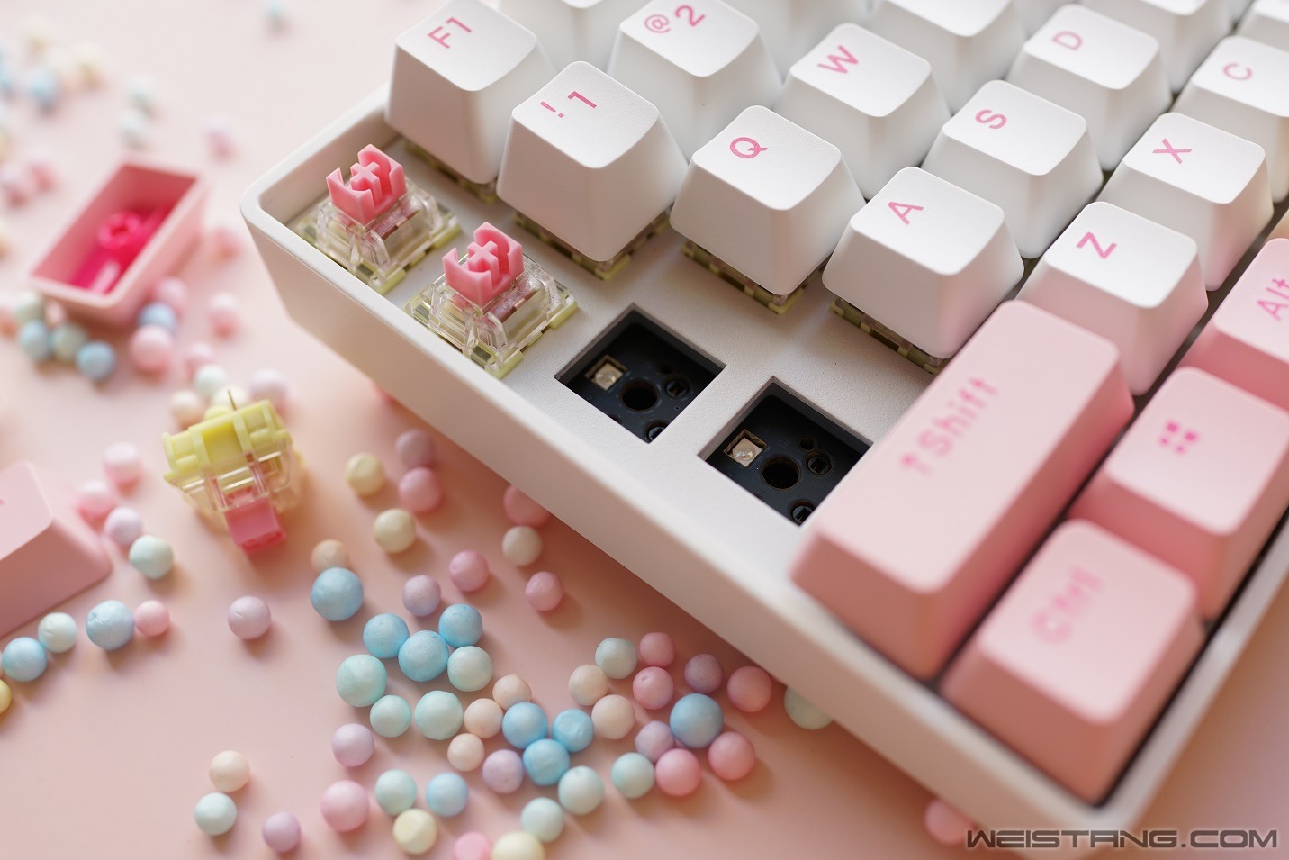 1 (10).JPG