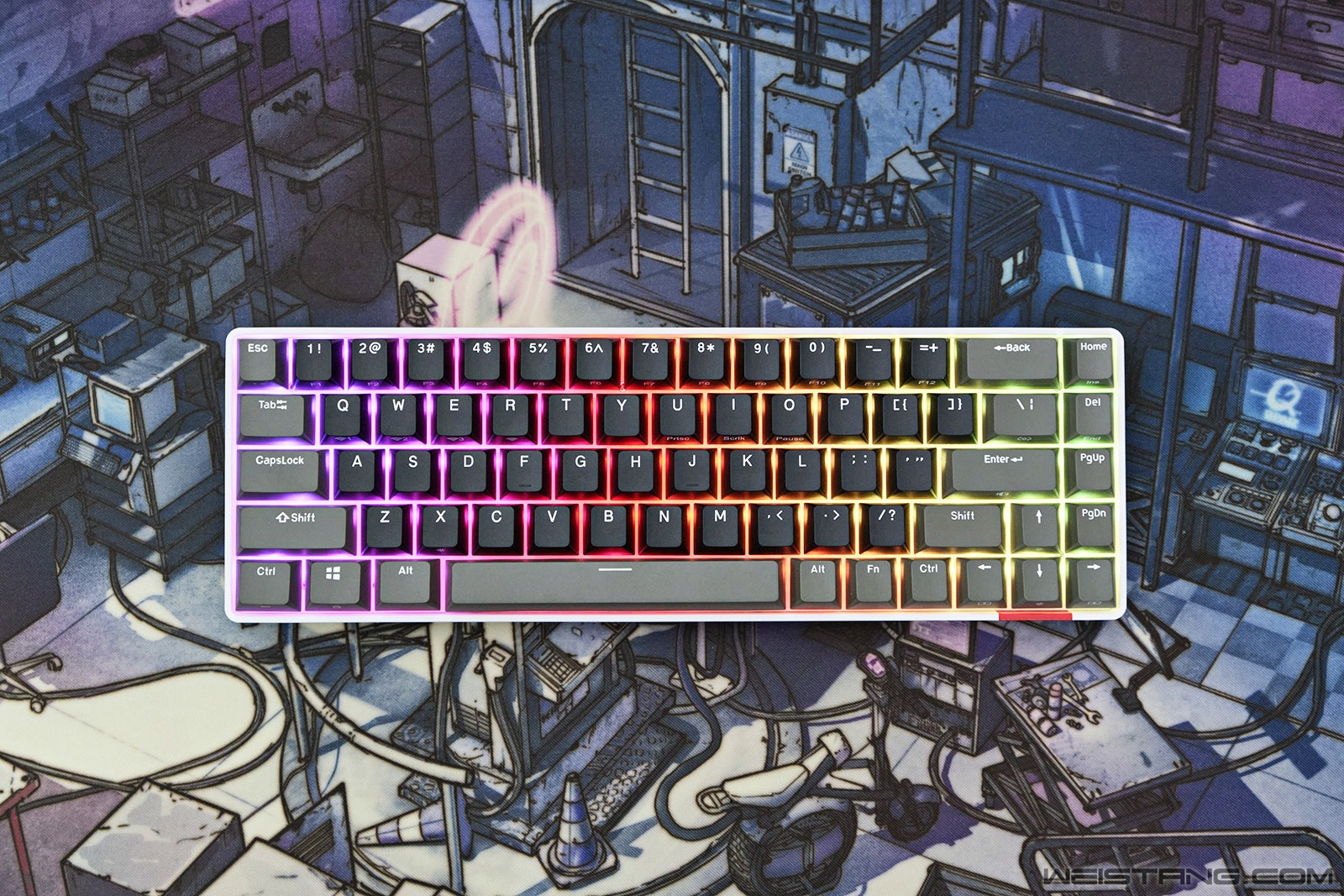 61.jpg