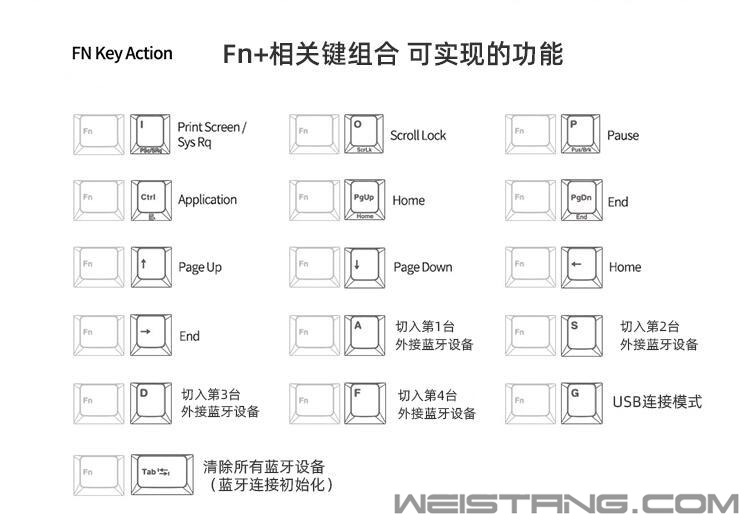 ²FC980MBT (10).jpg