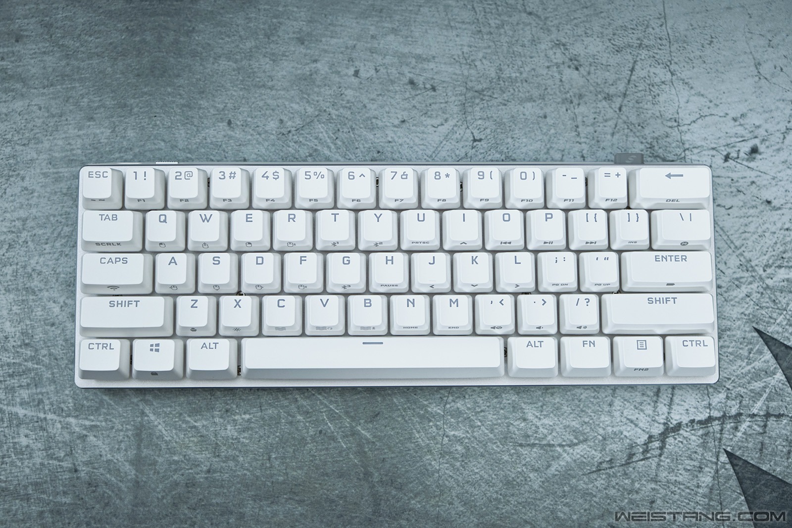 04.jpg