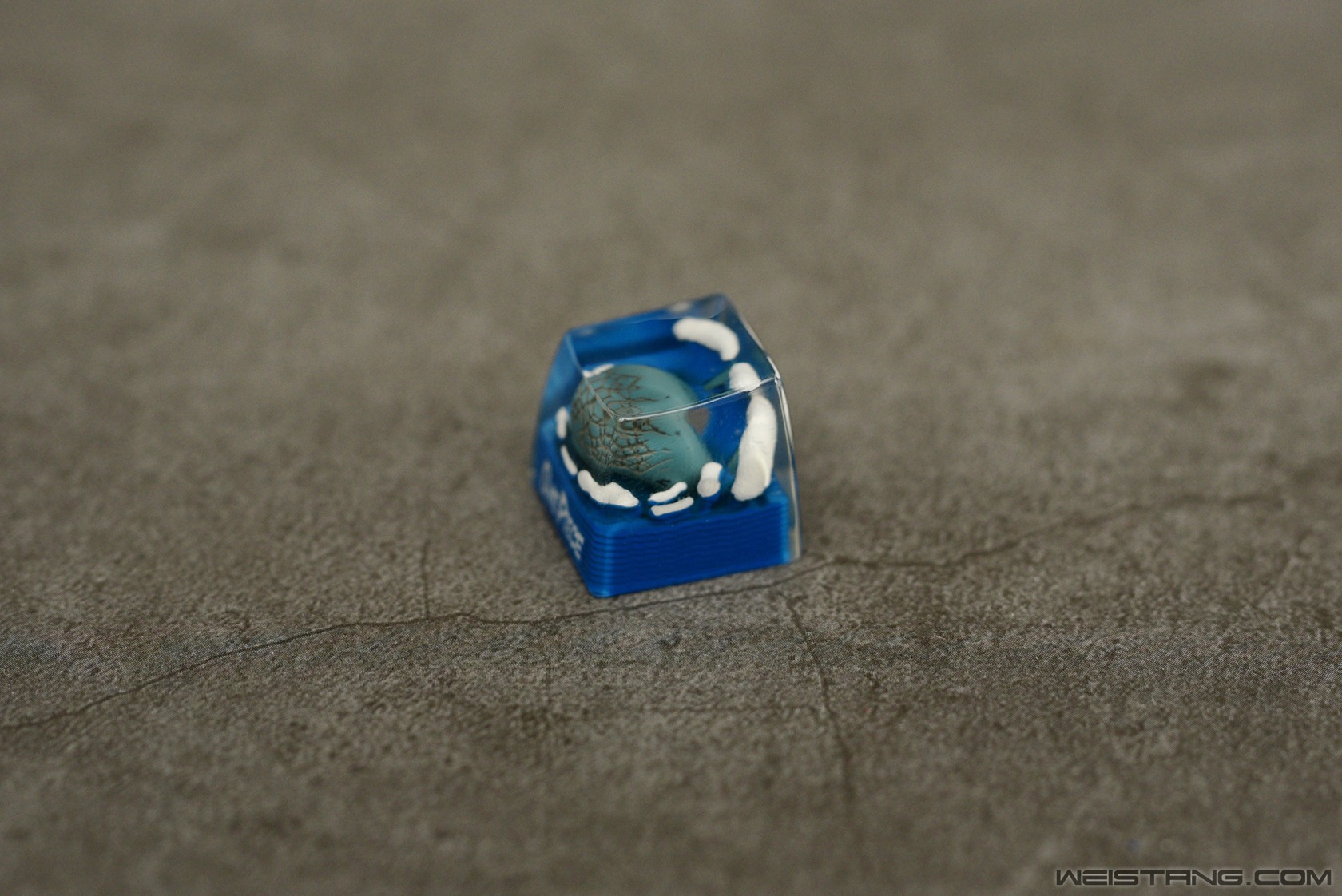 8.JPG