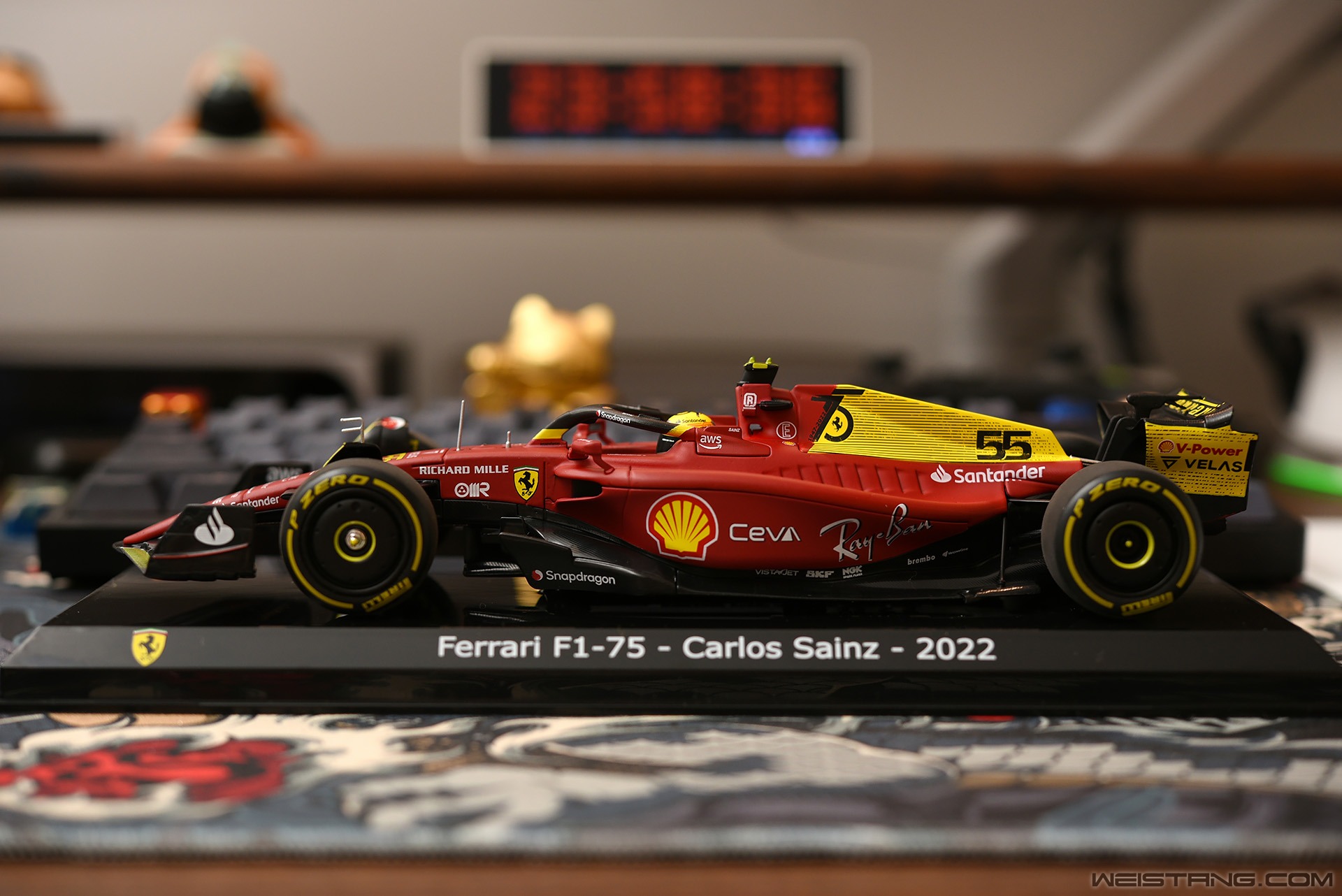 DSC_5453.JPG