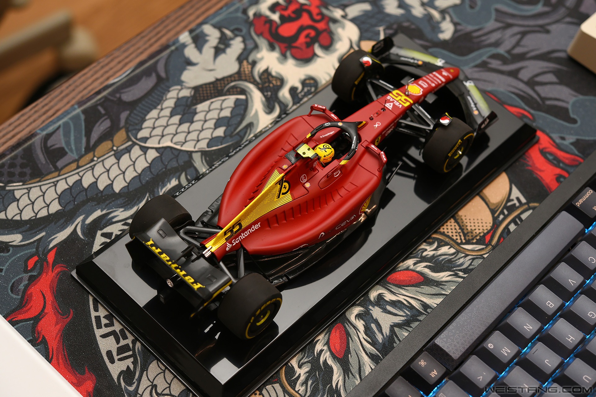 DSC_5462.JPG