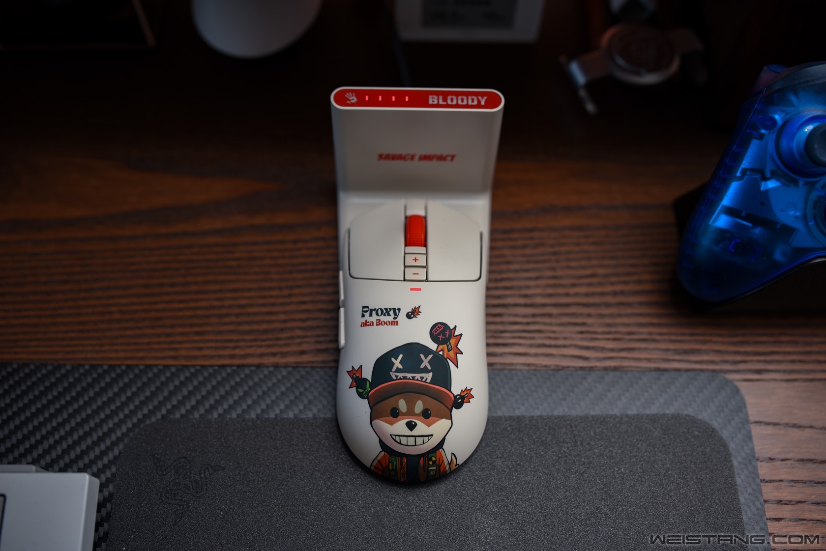 DSC_0775.JPG