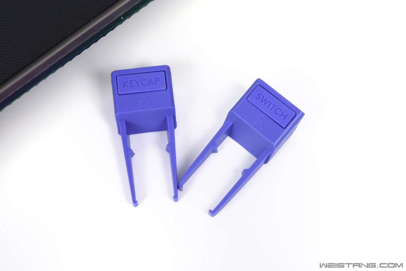 DSC_4872.JPG