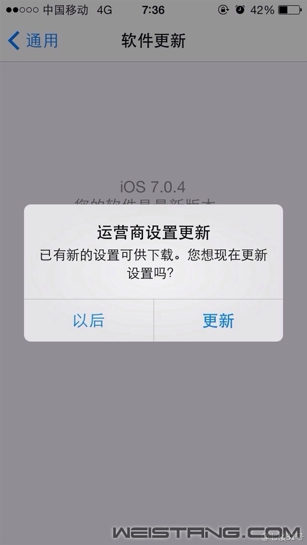 ����iPhone 5S/5Cȷ��֧���ƶ�4G