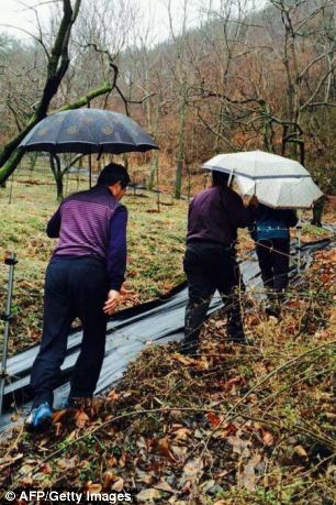 �����콵�����������˷��ڣ����汻�ҵ���