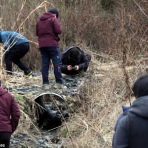 �����콵�����������˷��ڣ����汻�ҵ���