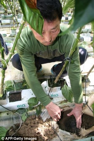 �����콵�����������˷��ڣ����汻�ҵ���