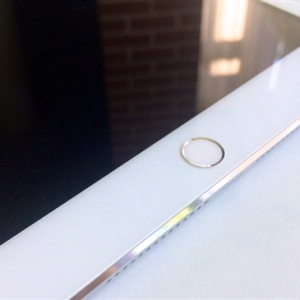 iPad Air 2��ȵ�ը ���ĵı���