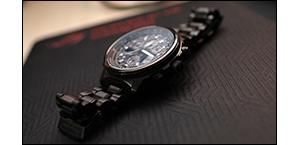 MLGB CITIZEN JY8025-59E ����