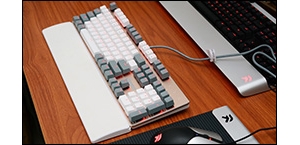 ����������ɭ����V628����