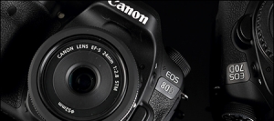 ֱAPS-C콢 80D
