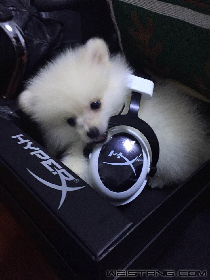 �Ӽ��ֱ��ֿ�ʲô�������˿��������� 