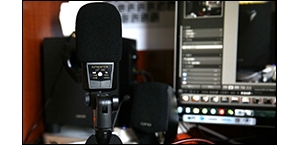 LEWITT LCT240��������