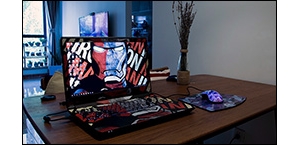 Akko ����è��Ϸ�������